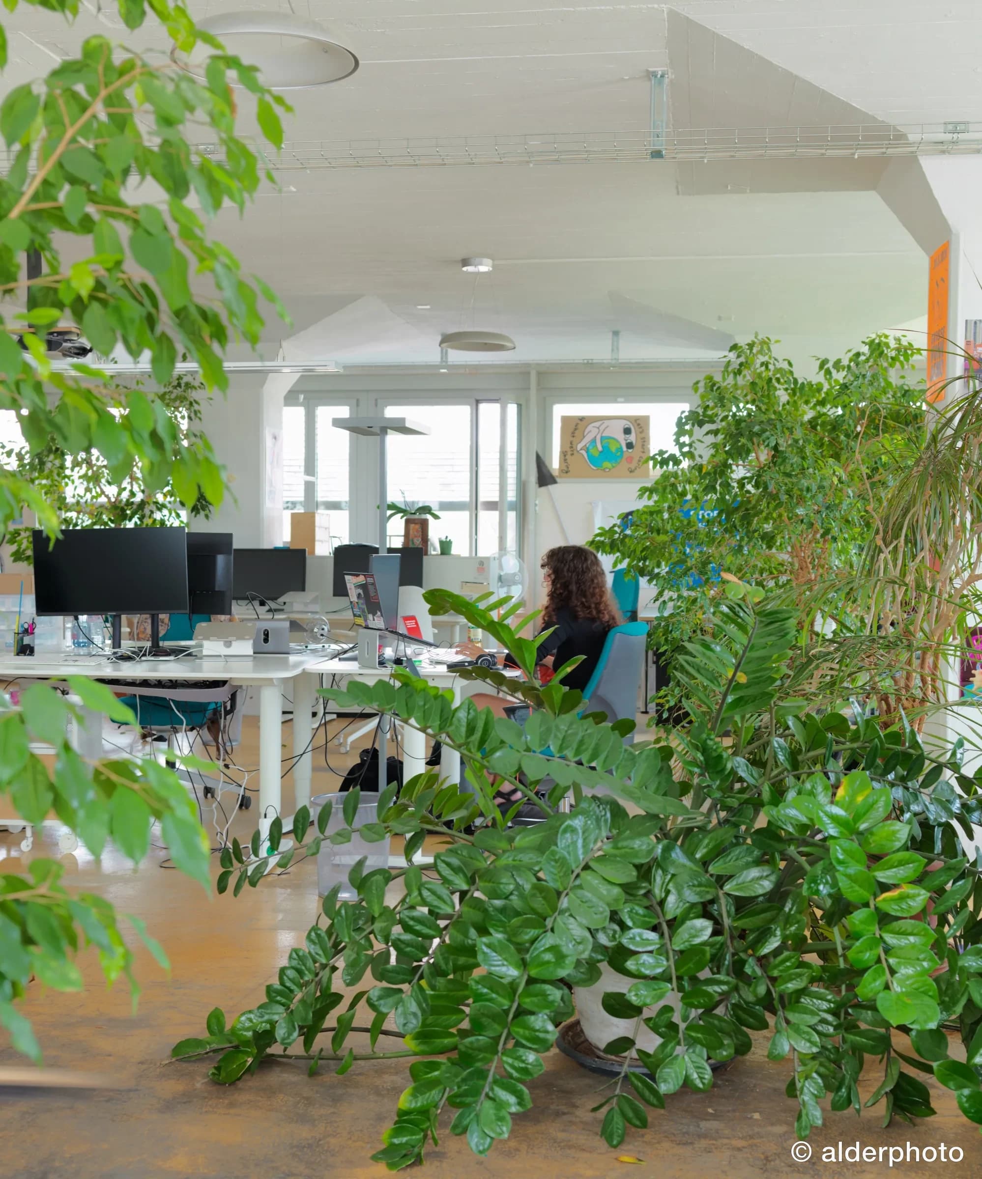 At the desk among the plants