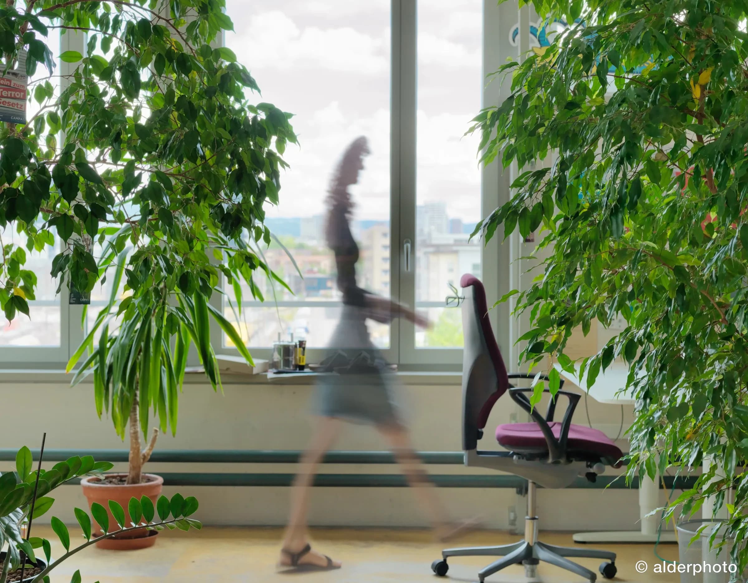 A desk surrounded by greenery