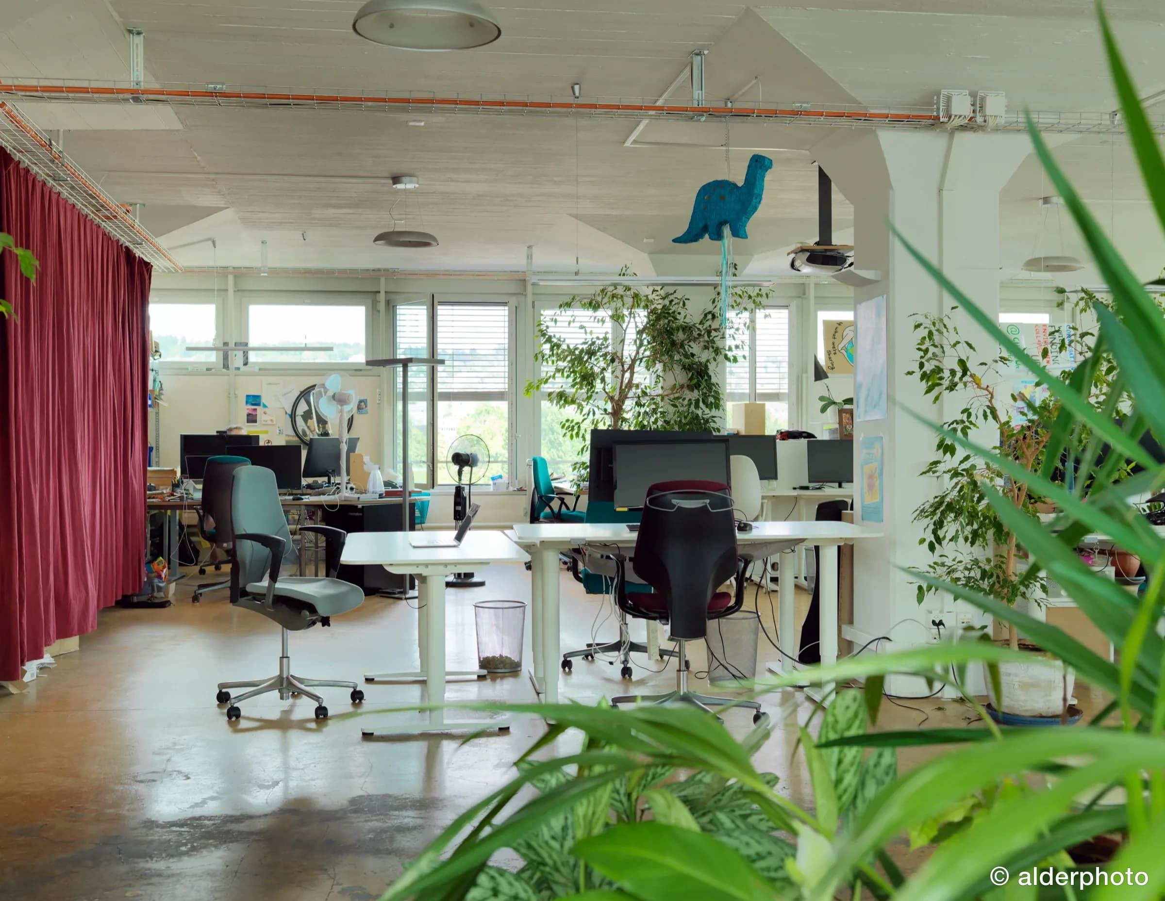 Open-plan office with plants and dino decor