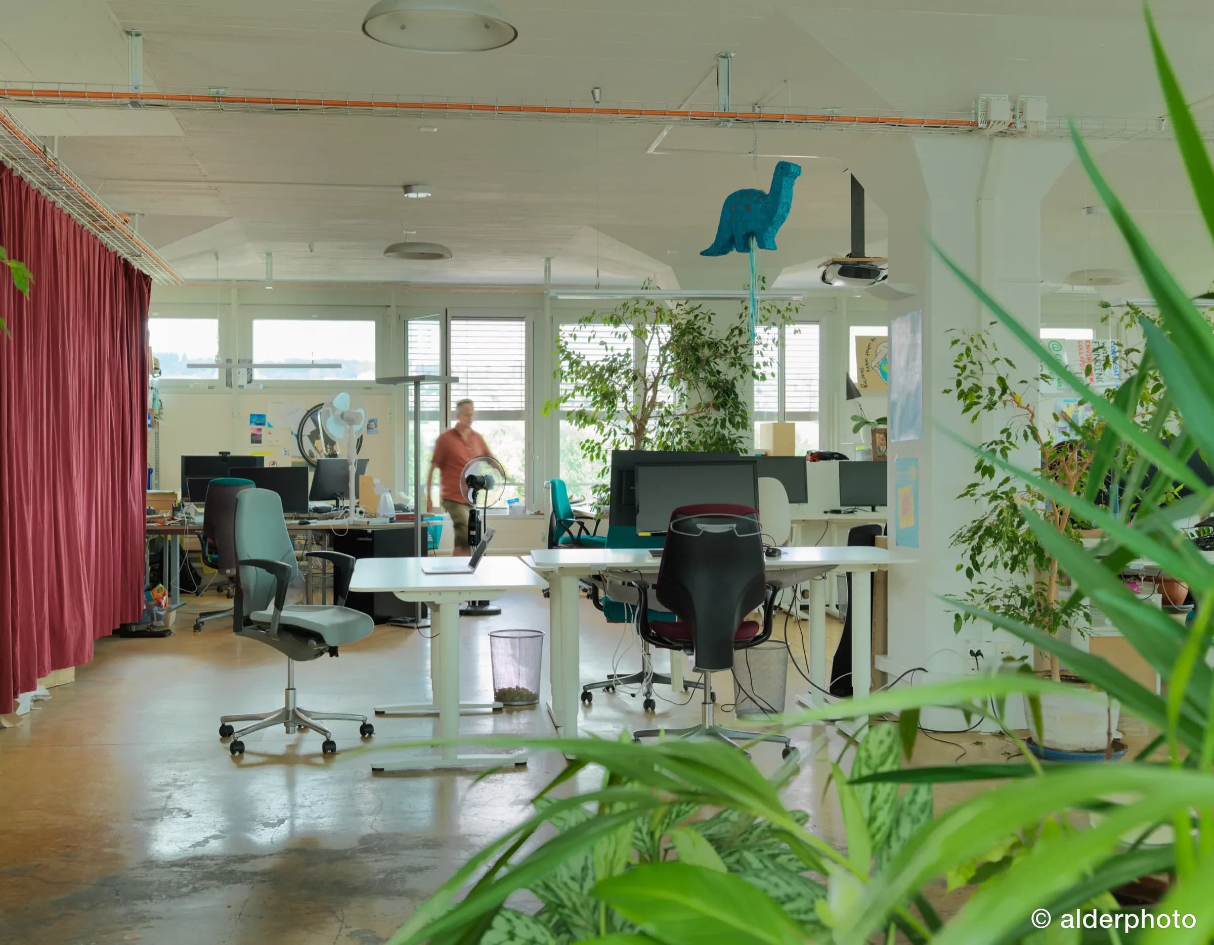 The open-plan office in action
