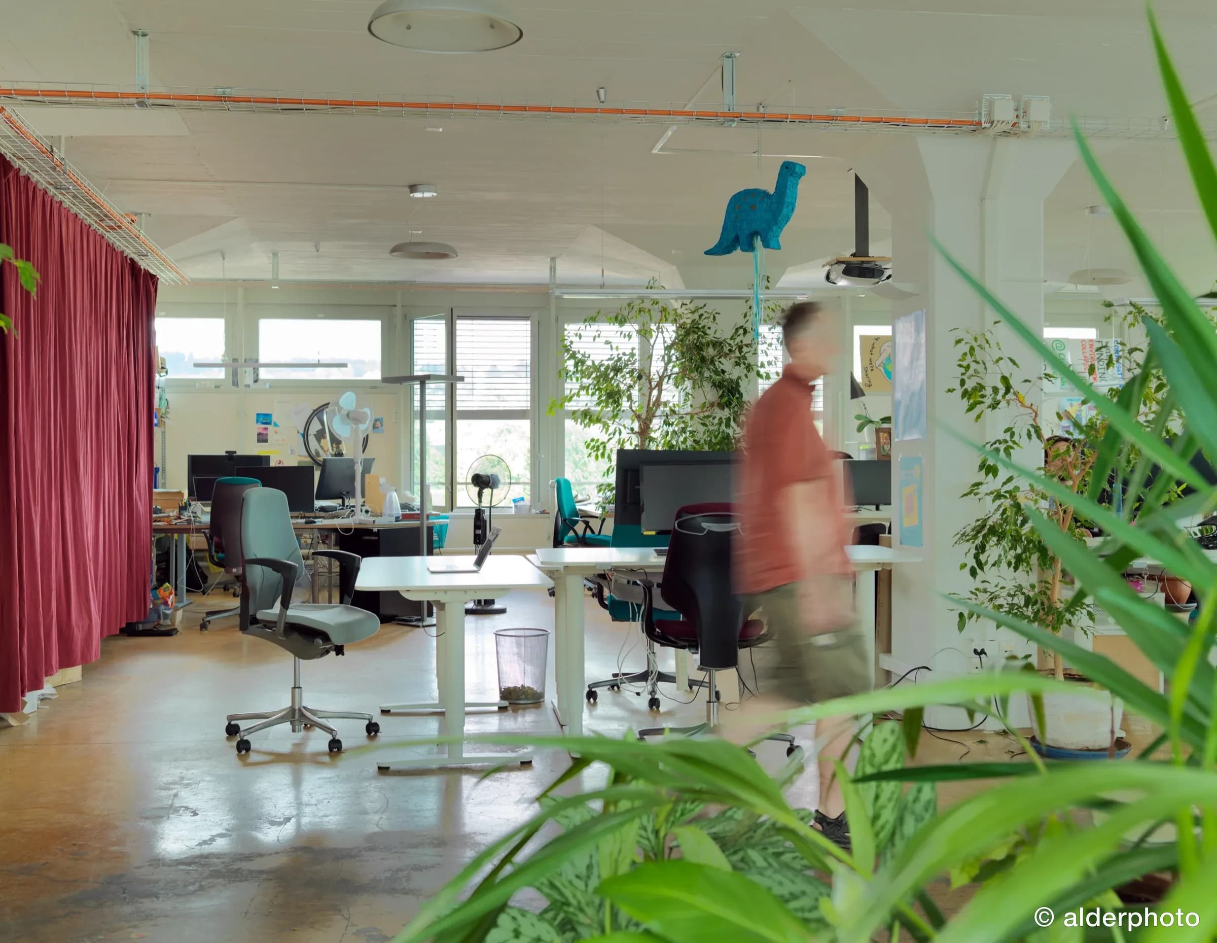 Focused work in the open-plan office